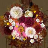 New Arrangement by Czar Catstick