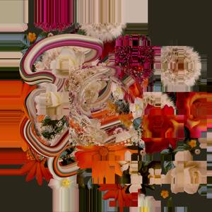 Flower Fragments 100