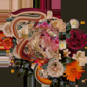 Flower Fragments 101