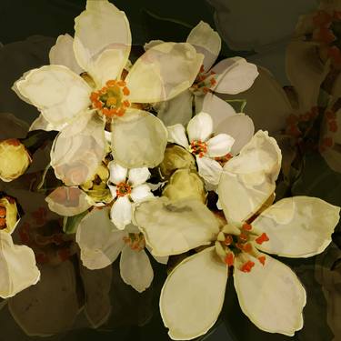 Print of Fine Art Floral Digital by Czar Catstick