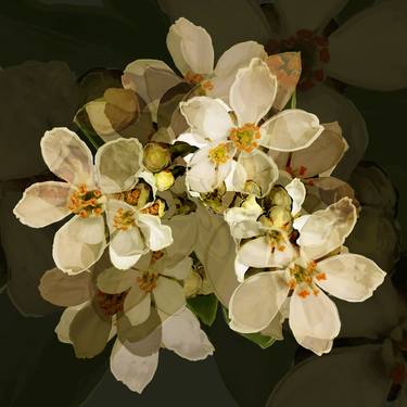 Print of Art Deco Floral Digital by Czar Catstick