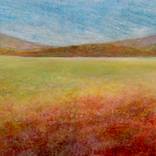 Meadow Song by Lori Latham