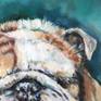 Close Up 1