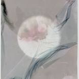 Collection Art for a Retreat