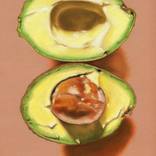 Avocado Illustration by Ashley Reid