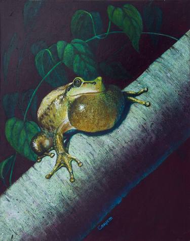 Tree Frog thumb