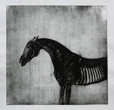Original Expressionism Horse Printmaking by Piper Alexandru