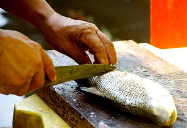 Print of Fish Photography by Joao EVANGELISTA Souza