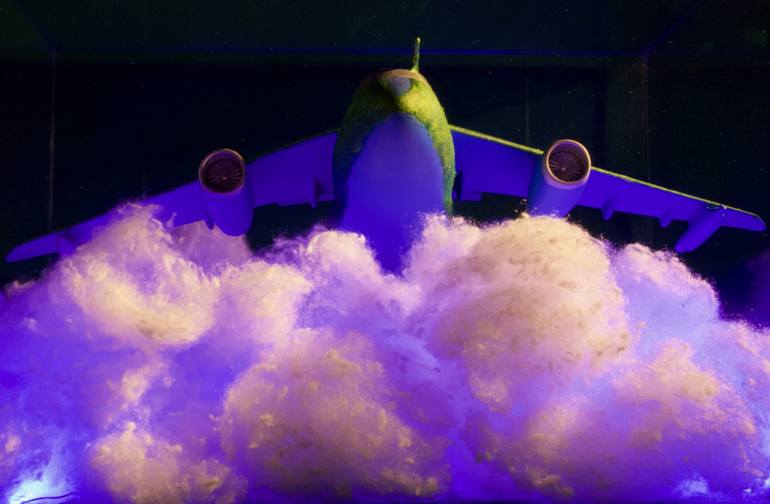 Original Modern Airplane Sculpture by Joao Evangelista Souza
