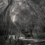 FELTHORPHE RD ATTELBRIDGE - Limited Edition 6 of 50 by Jerzy Konstantynowicz