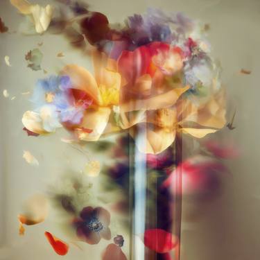 Print of Abstract Botanic Photography by Agnieszka Maria Zieba