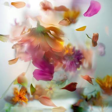 Original Abstract Floral Photography by Agnieszka Maria Zieba