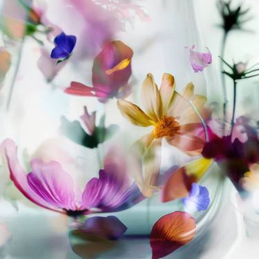 Original Floral Photography by Agnieszka Maria Zieba
