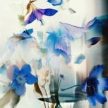 Soft flowers thumb