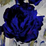 Abstract Flowers - Rose Blue Gold by Agnieszka Maria Zieba