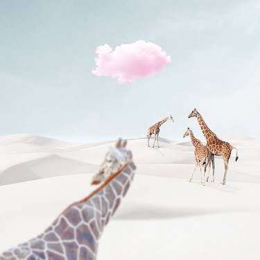 Voyage // Giraffe - Limited Edition of 50 / Signed  - 6 sale / 50 thumb