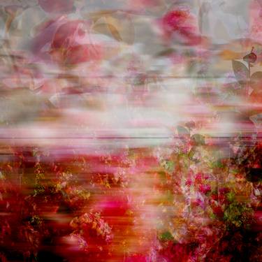 Print of Abstract Floral Photography by Agnieszka Maria Zieba