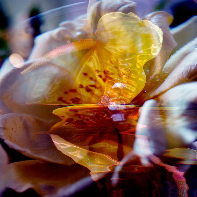 Print of Abstract Floral Photography by Agnieszka Maria Zieba