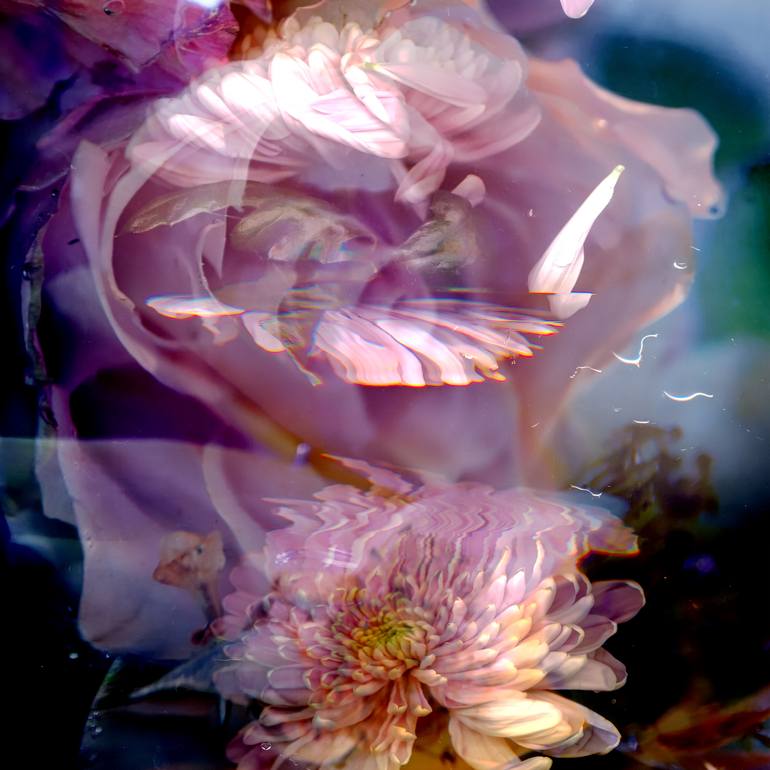 Print of Abstract Floral Photography by Agnieszka Maria Zieba
