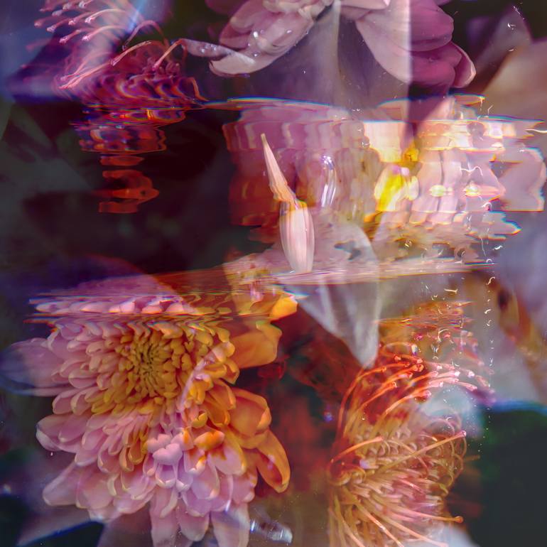 Print of Abstract Floral Photography by Agnieszka Maria Zieba