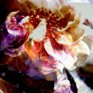 Print of Abstract Floral Photography by Agnieszka Maria Zieba