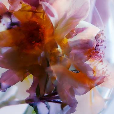 Print of Abstract Floral Photography by Agnieszka Maria Zieba