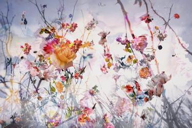 Print of Floral Photography by Agnieszka Maria Zieba