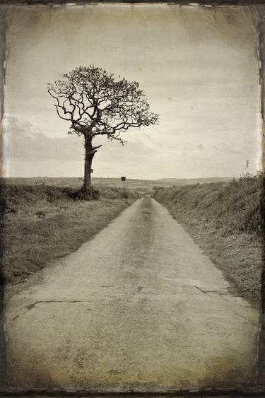 Original Documentary Landscape Photography by Michael Marker