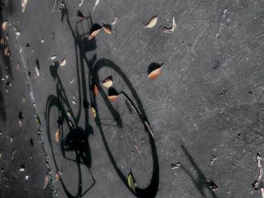 Print of Figurative Bicycle Photography by Marcelo Musarra