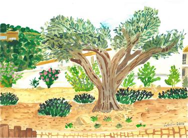 Olive tree in Spanish Garden I (2016) thumb