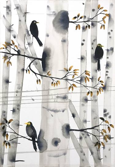 Blackbirds in birch forest thumb