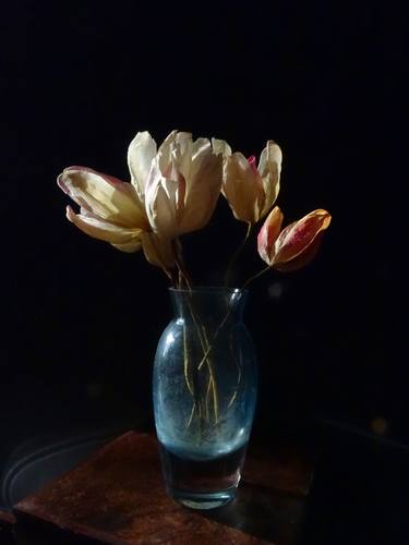 Original Realism Floral Photography by Chester DeWitt Rose
