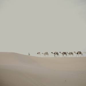 Collection Desert Landscapes