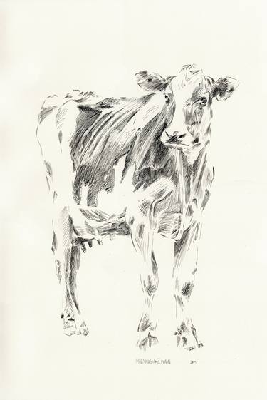 Print of Cows Drawings by Martin de Zwaan