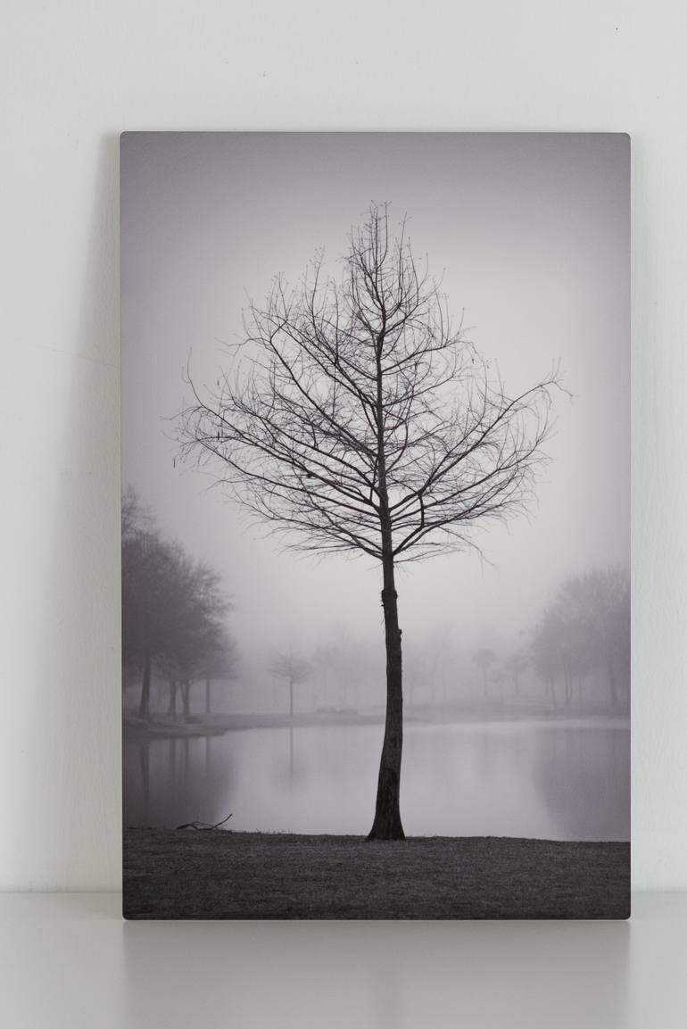 Original Other Landscape Photography by Carlos Ocando