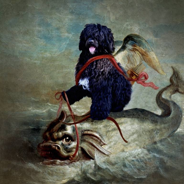 Portuguese water dog store art