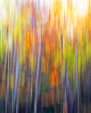 Print of Abstract Nature Photography by Kimberley Bruce