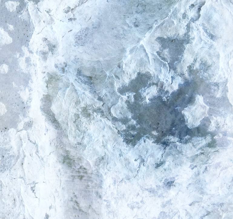 Original Abstract Nature Photography by Kimberley Bruce