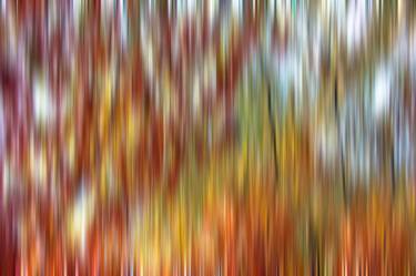 Print of Abstract Nature Photography by Kimberley Bruce