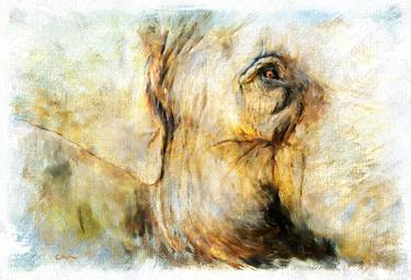 Original Fine Art Animal Mixed Media by Chuck Underwood