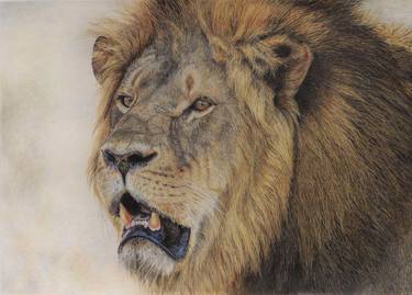Cecil - lion - 20/100 signed limited edition print thumb