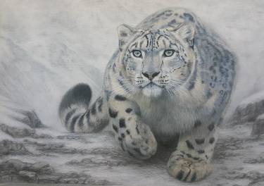 On Silent Paw - snow leopard - 2/150 signed limited edition print thumb