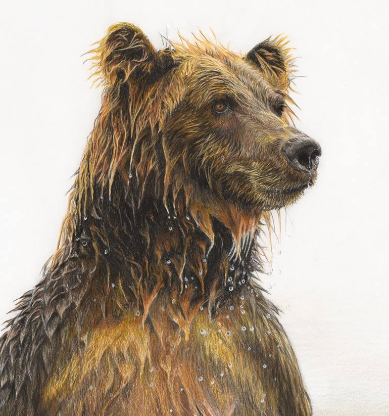 Original Figurative Animal Drawing by Charlotte Williams