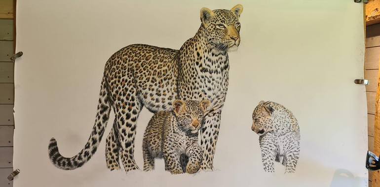 Original Figurative Animal Drawing by Charlotte Williams