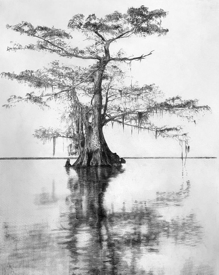 swamp tree drawing