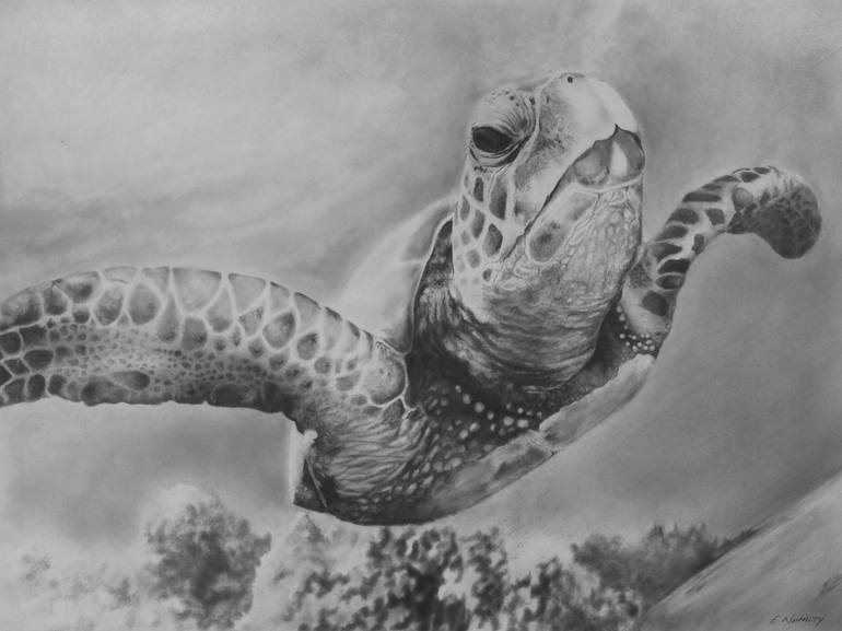 Black white abstract sea turtle art Canvas ocean animal Printmaking by  IrinJoyArt Art