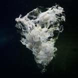 Collection Zena Holloway