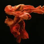 Collection Photography Under $1,500