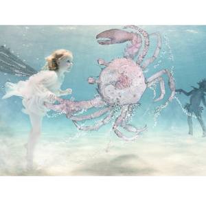 Collection Waterbabies