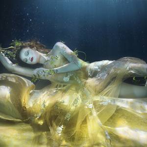 Collection Metallics